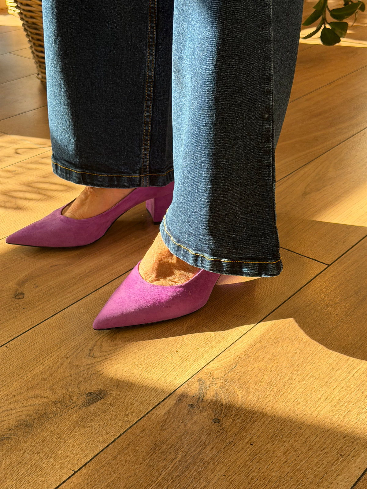 scarpa - VIOLA